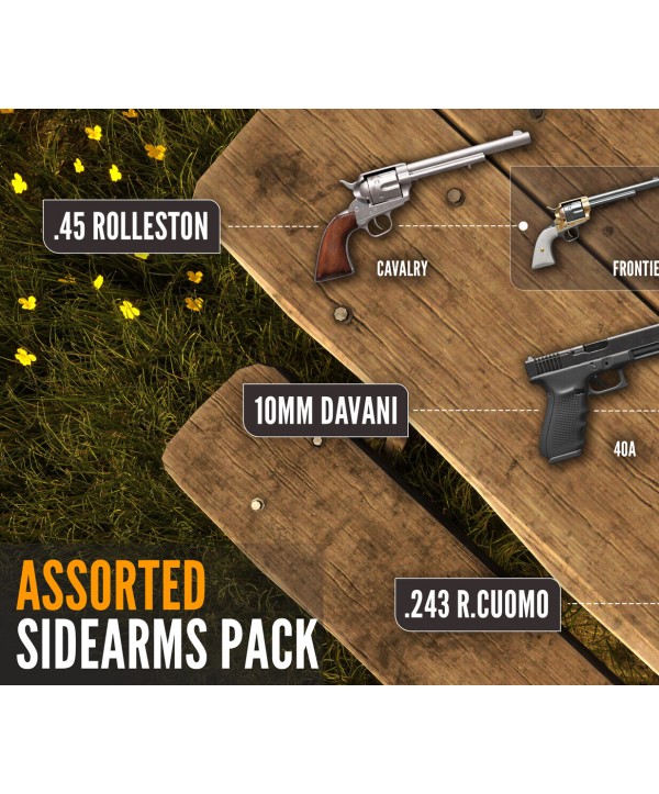 theHunter: Call of the Wild - Assorted Sidearms Pack DLC valid until March, 2027 Steam Key GLOBAL